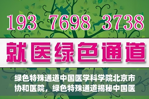 绿色特殊通道中国医学科学院北京市协和医院，绿色特殊通道揭秘中国医学科学院北京市协和医院的力量与担当