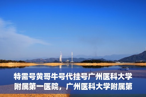 特需号黄哥牛号代挂号广州医科大学附属第一医院，广州医科大学附属第一医院特需号黄哥牛号代挂号服务解析