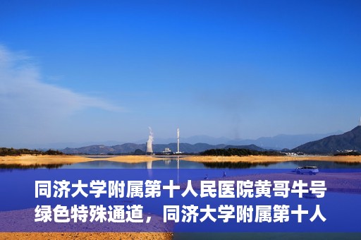 同济大学附属第十人民医院黄哥牛号绿色特殊通道，同济大学附属第十人民医院黄哥牛号，绿色特殊通道开启健康之门
