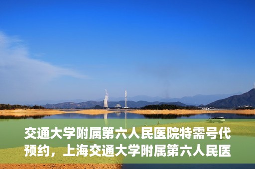 交通大学附属第六人民医院特需号代预约，上海交通大学附属第六人民医院特需号预约服务详解