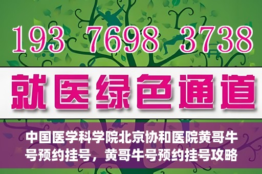 中国医学科学院北京协和医院黄哥牛号预约挂号，黄哥牛号预约挂号攻略，中国医学科学院北京协和医院就医指南
