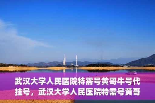 武汉大学人民医院特需号黄哥牛号代挂号，武汉大学人民医院特需号黄哥牛号代挂号背后的故事与真相揭秘