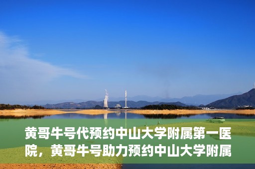 黄哥牛号代预约中山大学附属第一医院，黄哥牛号助力预约中山大学附属第一医院专家号