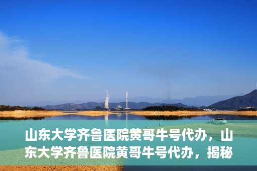 山东大学齐鲁医院黄哥牛号代办，山东大学齐鲁医院黄哥牛号代办，揭秘背后的故事与真相