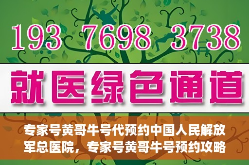 专家号黄哥牛号代预约中国人民解放军总医院，专家号黄哥牛号预约攻略，解放军总医院预约指南