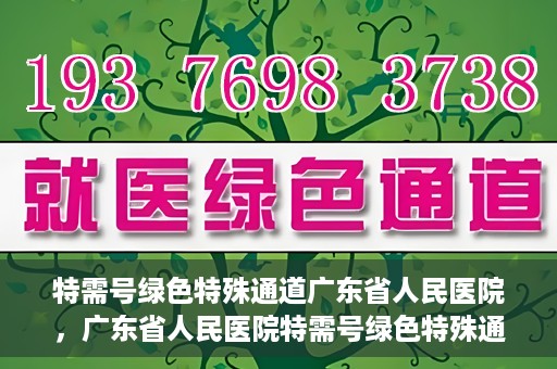 特需号绿色特殊通道广东省人民医院，广东省人民医院特需号绿色特殊通道服务解析