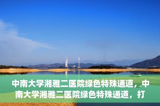 中南大学湘雅二医院绿色特殊通道，中南大学湘雅二医院绿色特殊通道，打造高效医疗服务的先锋典范