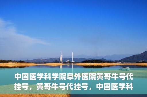 中国医学科学院阜外医院黄哥牛号代挂号，黄哥牛号代挂号，中国医学科学院阜外医院便捷就医新途径