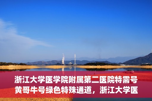 浙江大学医学院附属第二医院特需号黄哥牛号绿色特殊通道，浙江大学医学院附属第二医院特需号黄哥牛号，绿色就医通道揭秘