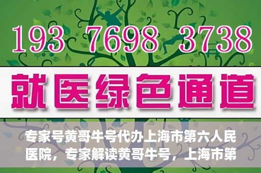 专家号黄哥牛号代办上海市第六人民医院，专家解读黄哥牛号，上海市第六人民医院代办服务深度解析