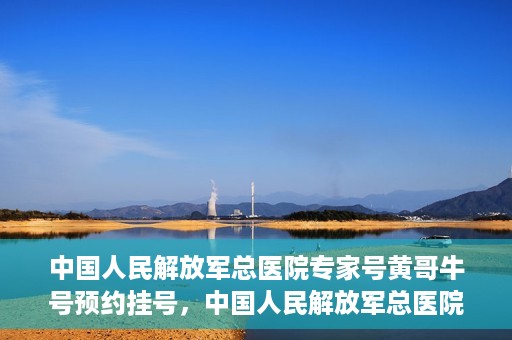 中国人民解放军总医院专家号黄哥牛号预约挂号，中国人民解放军总医院黄哥牛号专家号预约挂号攻略