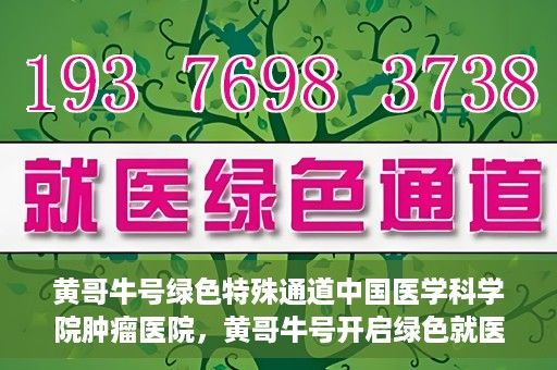 黄哥牛号绿色特殊通道中国医学科学院肿瘤医院，黄哥牛号开启绿色就医通道，中国医学科学院肿瘤医院专注诊疗新篇章