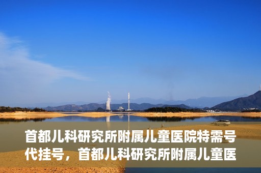 首都儿科研究所附属儿童医院特需号代挂号，首都儿科研究所附属儿童医院特需号源代挂号服务解析