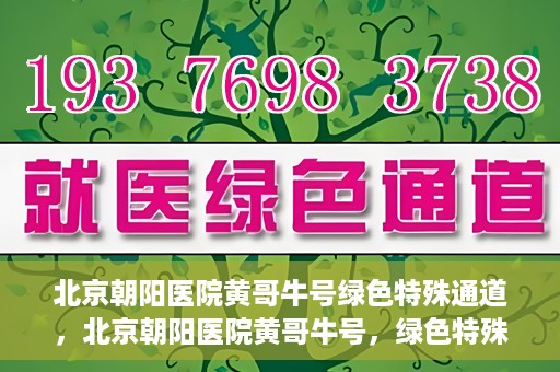 北京朝阳医院黄哥牛号绿色特殊通道，北京朝阳医院黄哥牛号，绿色特殊通道开启健康之门