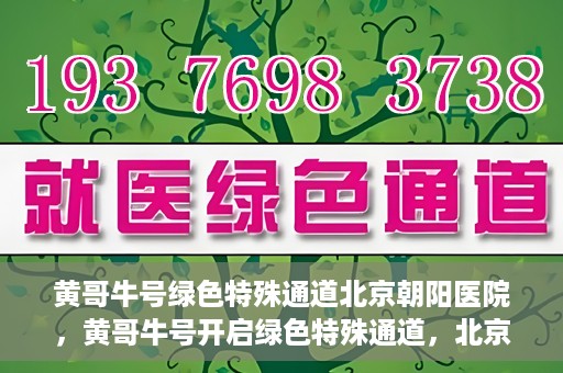 黄哥牛号绿色特殊通道北京朝阳医院，黄哥牛号开启绿色特殊通道，北京朝阳医院助力健康之路