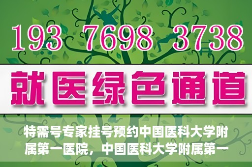 特需号专家挂号预约中国医科大学附属第一医院，中国医科大学附属第一医院特需专家挂号预约指南