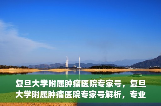 复旦大学附属肿瘤医院专家号，复旦大学附属肿瘤医院专家号解析，专业诊疗与权威解读的权威指南