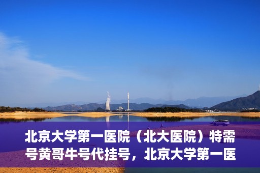 北京大学第一医院（北大医院）特需号黄哥牛号代挂号，北京大学第一医院特需号专家黄哥牛号代挂号服务解析