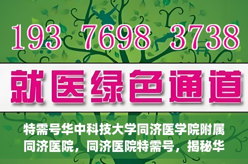 特需号华中科技大学同济医学院附属同济医院，同济医院特需号，揭秘华中科技大学同济医学院附属医院的特色服务与医疗特色