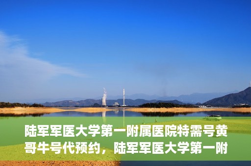 陆军军医大学第一附属医院特需号黄哥牛号代预约，陆军军医大学第一附属医院特需号预约专家黄哥牛号揭秘