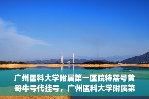 广州医科大学附属第一医院特需号黄哥牛号代挂号，广州医科大学附属第一医院特需号黄哥牛号代挂号攻略