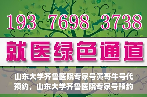山东大学齐鲁医院专家号黄哥牛号代预约，山东大学齐鲁医院专家号预约服务解析，黄哥牛号代预约详解