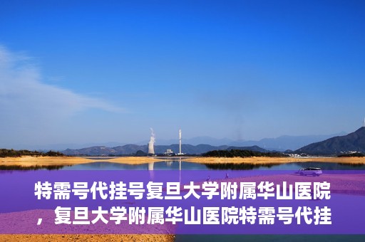 特需号代挂号复旦大学附属华山医院，复旦大学附属华山医院特需号代挂号服务详解