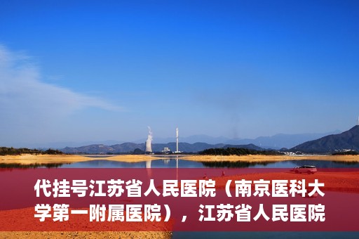 代挂号江苏省人民医院（南京医科大学第一附属医院），江苏省人民医院代挂号服务详解，一站式解决就医难题