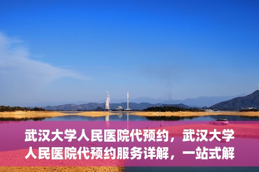 武汉大学人民医院代预约，武汉大学人民医院代预约服务详解，一站式解决您的就医难题