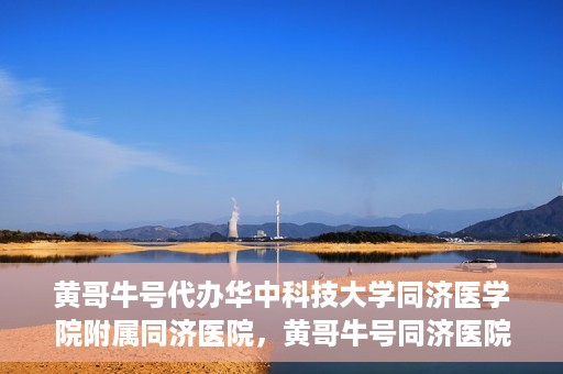 黄哥牛号代办华中科技大学同济医学院附属同济医院，黄哥牛号同济医院代办服务，专业助力就医无忧！