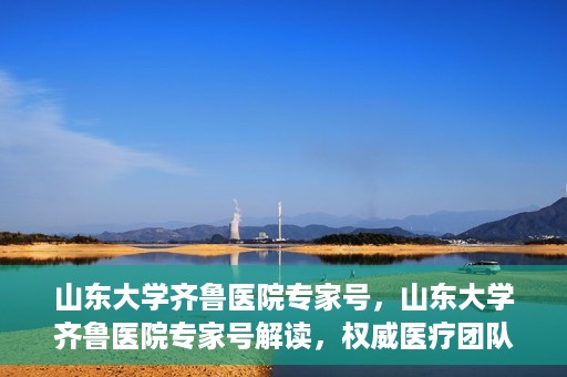 山东大学齐鲁医院专家号，山东大学齐鲁医院专家号解读，权威医疗团队的专业解读与诊疗之道