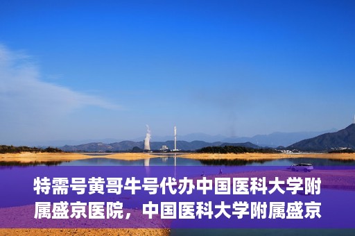 特需号黄哥牛号代办中国医科大学附属盛京医院，中国医科大学附属盛京医院特需号黄哥牛号代办服务详解