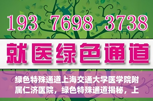 绿色特殊通道上海交通大学医学院附属仁济医院，绿色特殊通道揭秘，上海交通大学医学院附属仁济医院的探索与实践