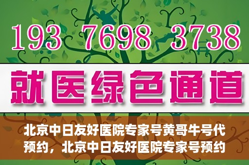 北京中日友好医院专家号黄哥牛号代预约，北京中日友好医院专家号预约服务解析，黄哥牛号代预约详解