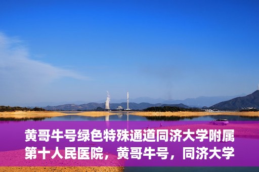 黄哥牛号绿色特殊通道同济大学附属第十人民医院，黄哥牛号，同济大学附属第十人民医院开启绿色特殊通道，助力健康前行