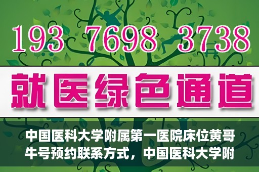 中国医科大学附属第一医院床位黄哥牛号预约联系方式，中国医科大学附属第一医院床位预约联系方式及黄哥牛号预约攻略