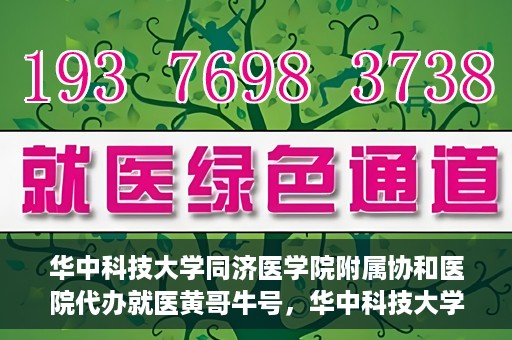 华中科技大学同济医学院附属协和医院代办就医黄哥牛号，华中科技大学同济医学院附属协和医院就医黄哥牛号代办服务解析