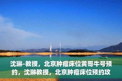沈琳-教授，北京肿瘤床位黄哥牛号预约，沈琳教授，北京肿瘤床位预约攻略及黄哥牛号解读