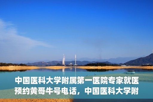 中国医科大学附属第一医院专家就医预约黄哥牛号电话，中国医科大学附属第一医院专家预约挂号热线，黄哥牛号电话助您轻松就医。