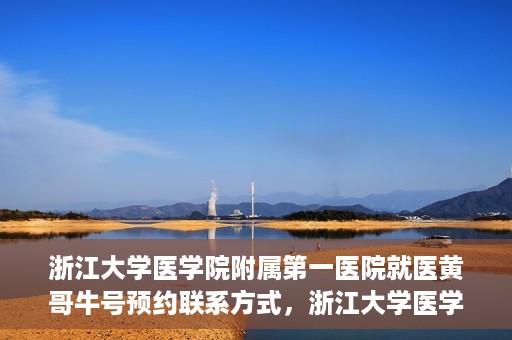浙江大学医学院附属第一医院就医黄哥牛号预约联系方式，浙江大学医学院附属第一医院就医攻略，黄哥牛号预约联系方式全解析
