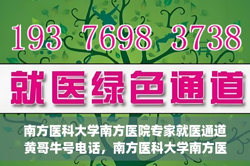 南方医科大学南方医院专家就医通道黄哥牛号电话，南方医科大学南方医院专家就医通道揭秘，黄哥牛号电话专线开通