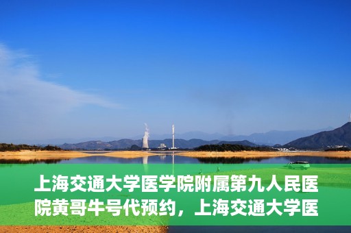 上海交通大学医学院附属第九人民医院黄哥牛号代预约，上海交通大学医学院附属第九人民医院黄哥牛号预约攻略，轻松预约挂号体验