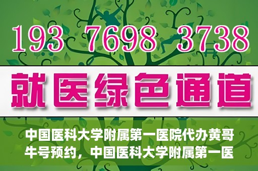 中国医科大学附属第一医院代办黄哥牛号预约，中国医科大学附属第一医院预约挂号代办服务解析——黄哥牛号预约揭秘