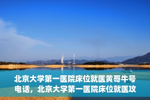 北京大学第一医院床位就医黄哥牛号电话，北京大学第一医院床位就医攻略，黄哥牛号电话全解析