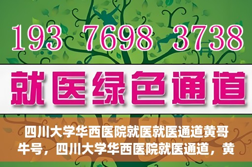四川大学华西医院就医就医通道黄哥牛号，四川大学华西医院就医通道，黄哥牛号引领就医新纪元