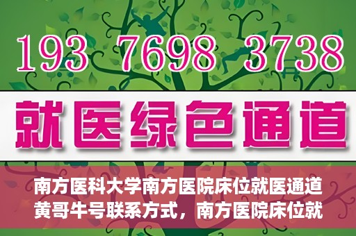 南方医科大学南方医院床位就医通道黄哥牛号联系方式，南方医院床位就医通道详解，黄哥牛号联系方式及就医指南