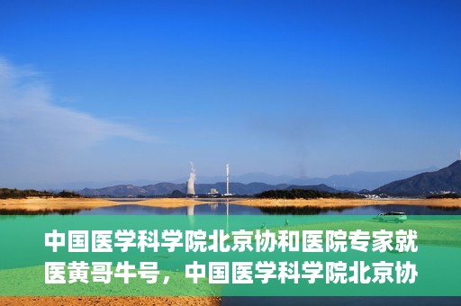 中国医学科学院北京协和医院专家就医黄哥牛号，中国医学科学院北京协和医院专家就医攻略，黄哥牛号解析