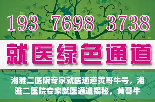 湘雅二医院专家就医通道黄哥牛号，湘雅二医院专家就医通道揭秘，黄哥牛号引领就医新风尚