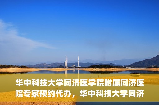 华中科技大学同济医学院附属同济医院专家预约代办，华中科技大学同济医院专家预约代办服务详解