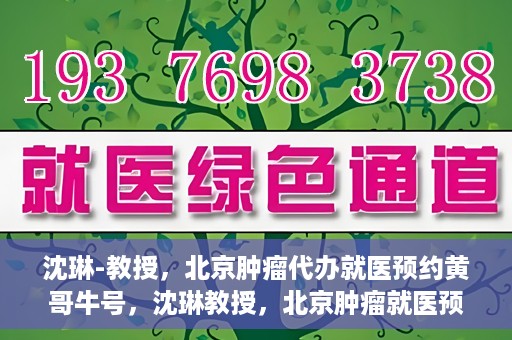 沈琳-教授，北京肿瘤代办就医预约黄哥牛号，沈琳教授，北京肿瘤就医预约背后的故事——黄哥牛号揭秘
